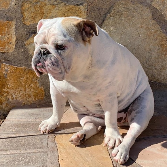 Meet your Posher, Pat - Picture 3 of 16